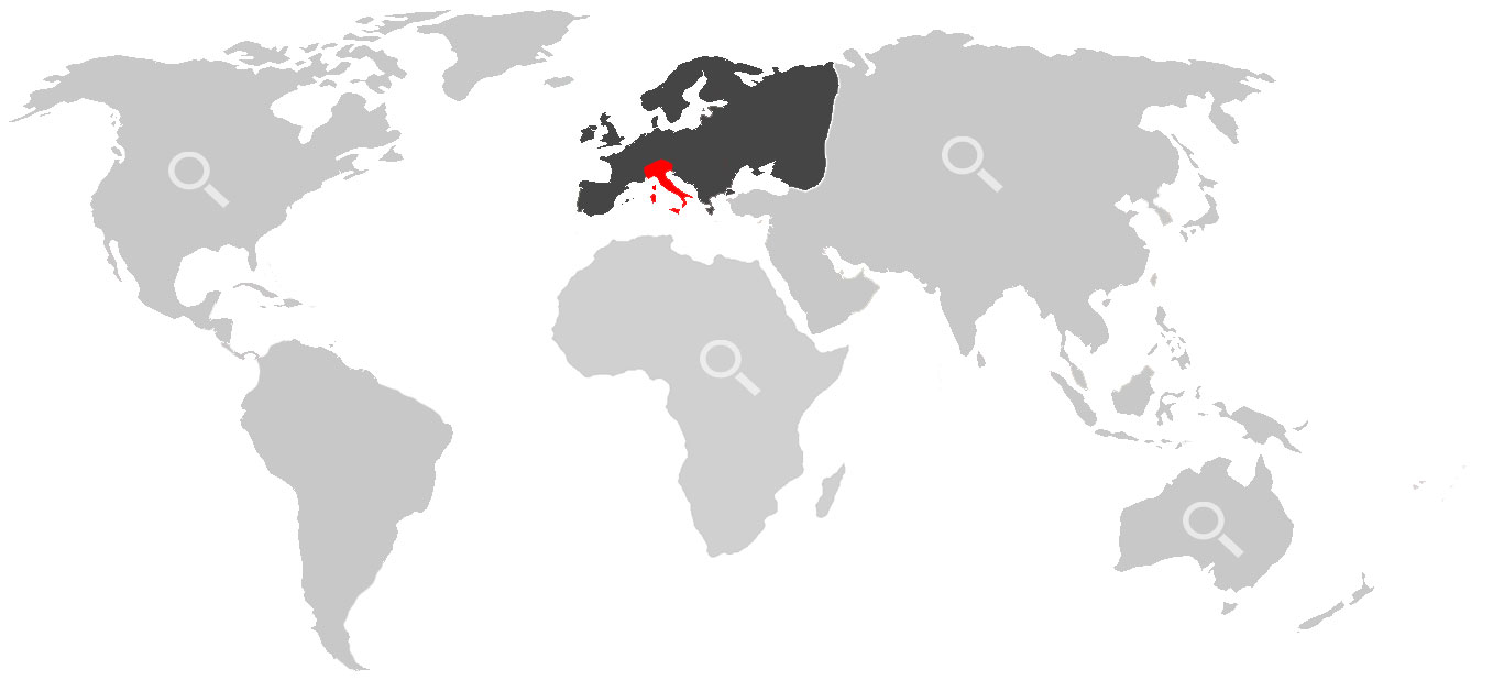 importatori europa